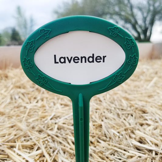 Ooh Lavender! I Need MORE!!