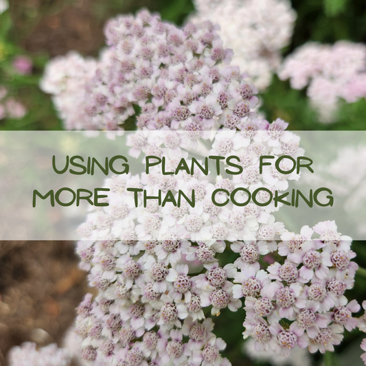 Sites for Medicinal Plants Usage