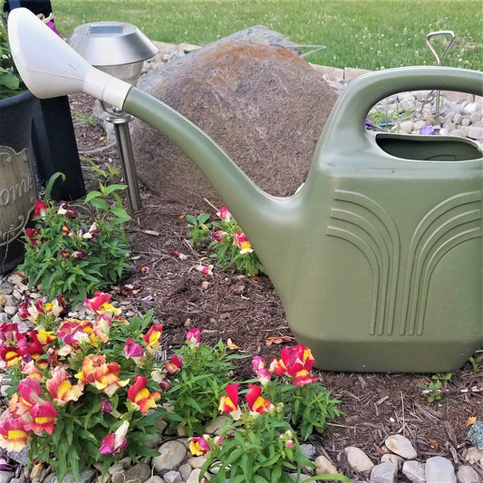 Hot Weather Gardening Tips