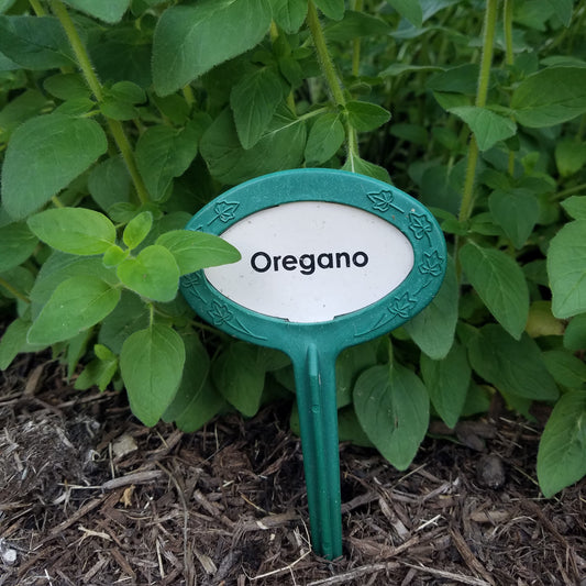 OH, OH, OREGANO