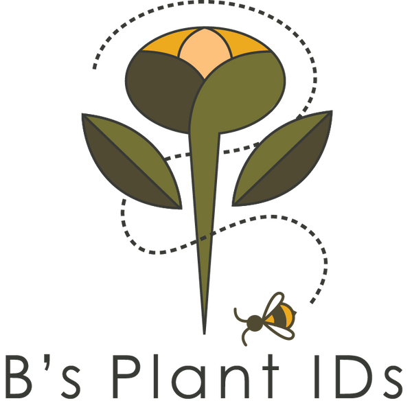 B's Plant IDs logo