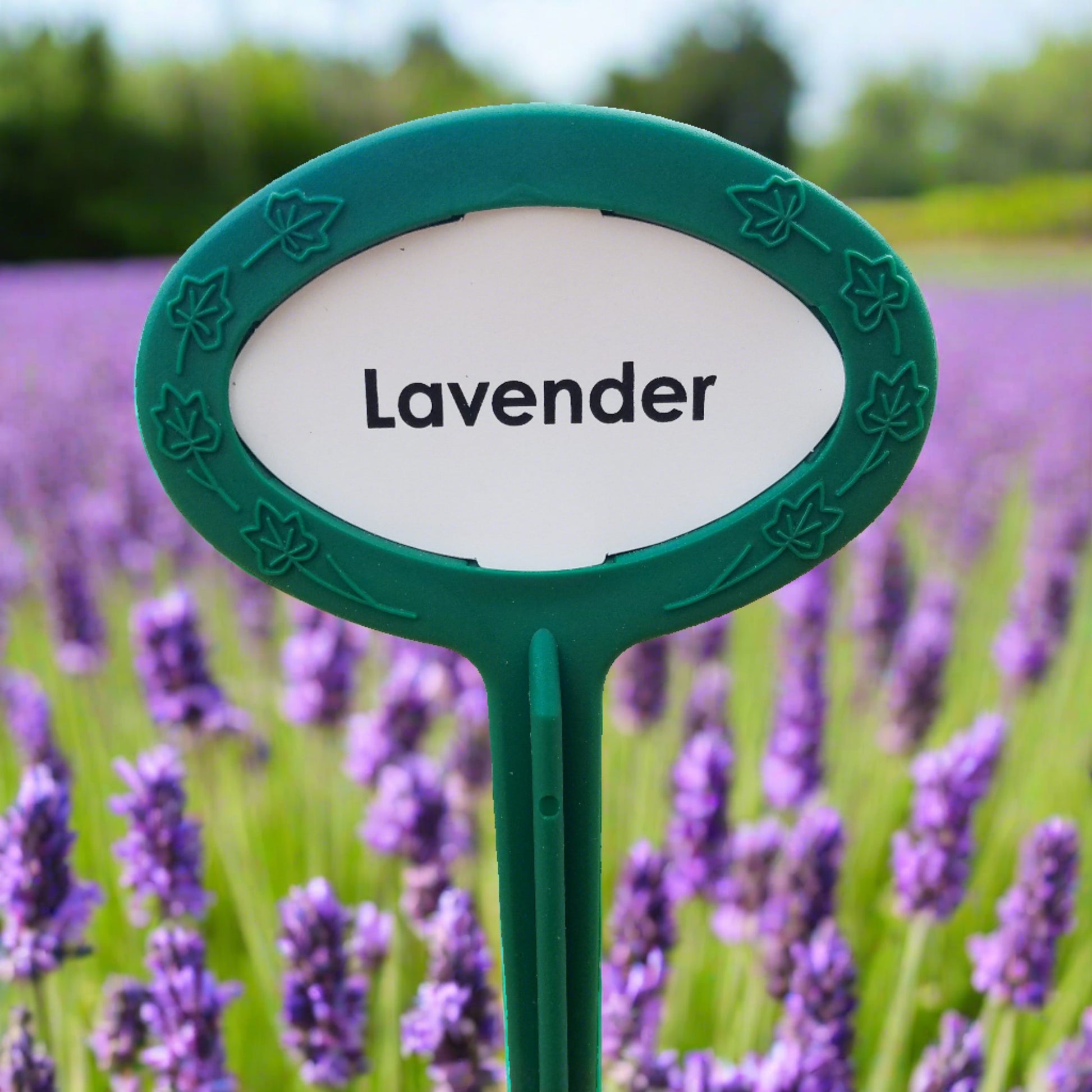 Preprinted garden marker Herb collection 20 pack. long lasting Made in USA. Lavender