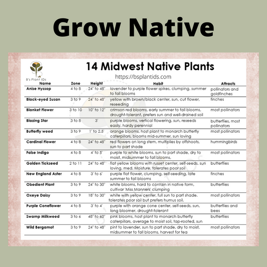 Grow Native.  14 Midwest Native Plants