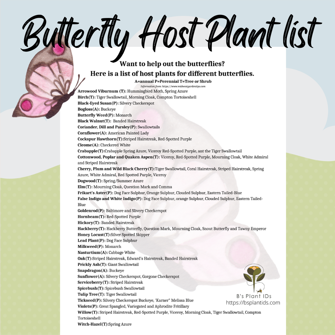 Butterfly Host Plant List. long list of plants and trees that are host plants to the butterflies.