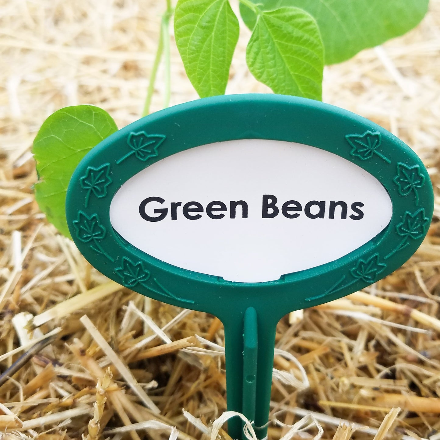 Garden Bliss Package