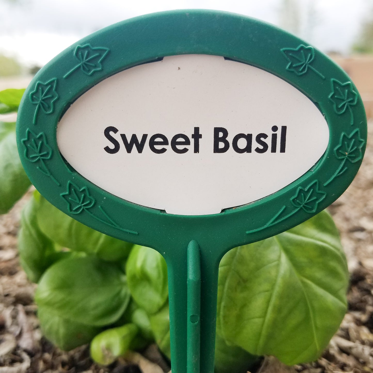 Garden Bliss Package