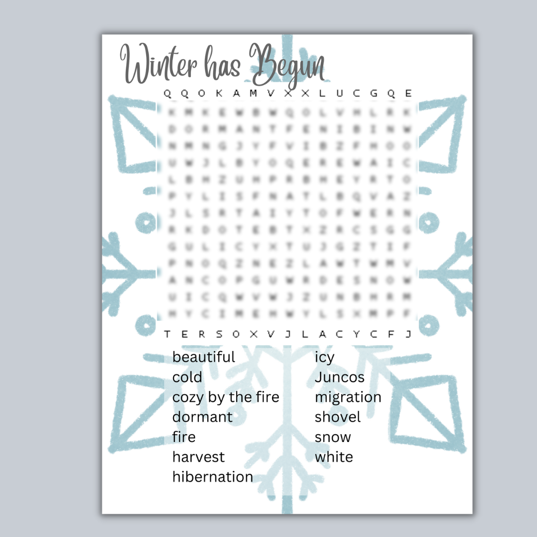 Winter Word Search