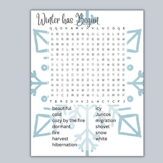 Winter Word Search