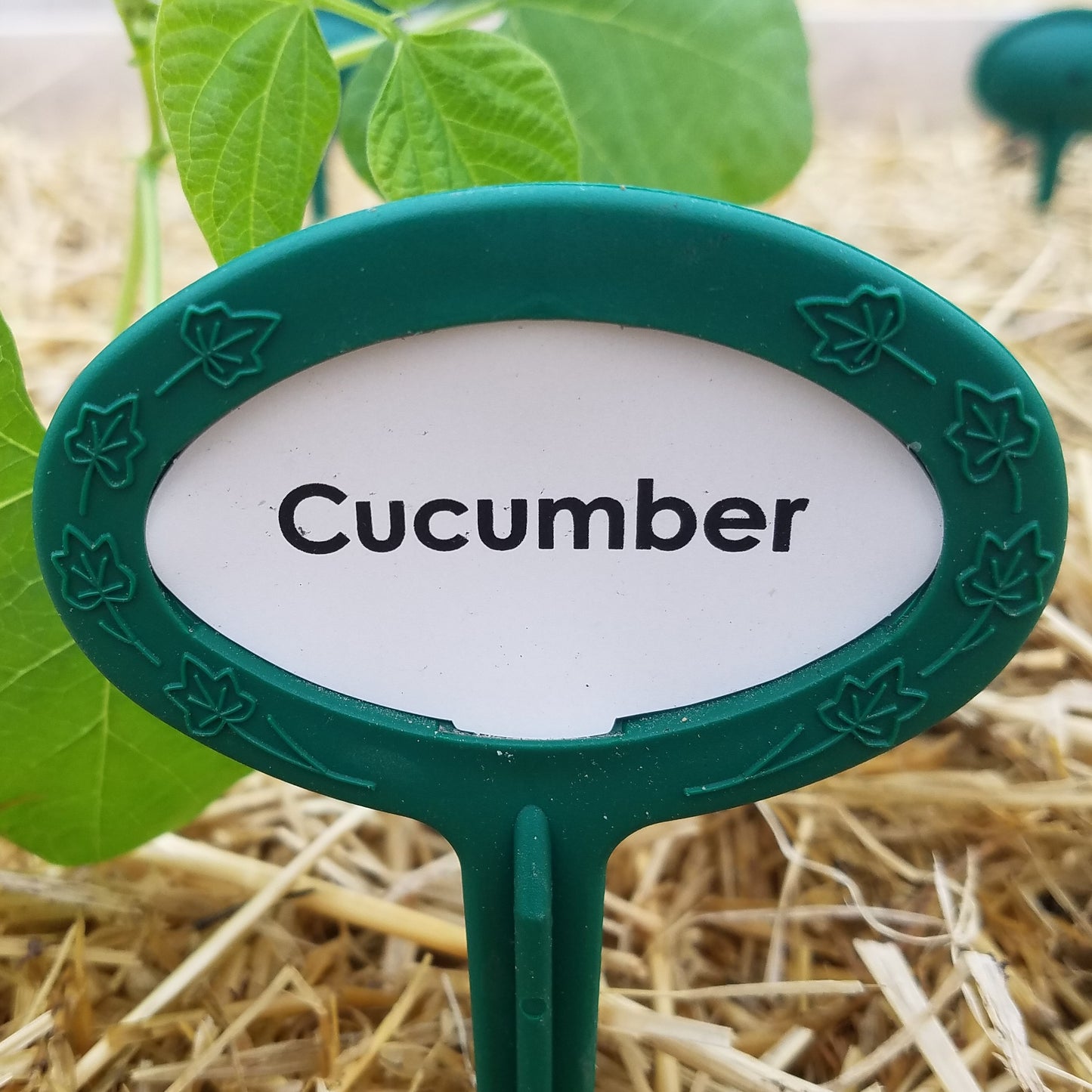 Garden Bliss Package