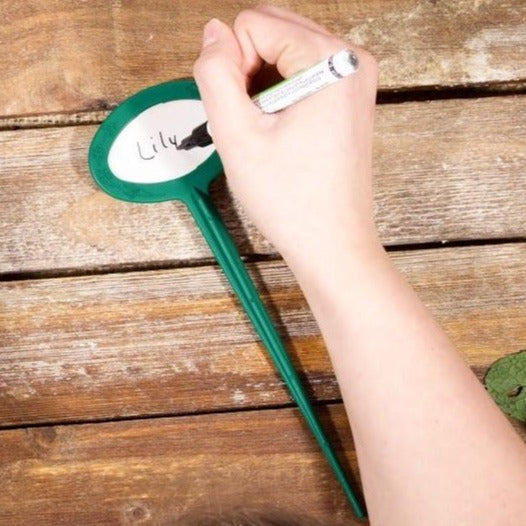 Writeable plant markers. 9 inch stake with vinyl insert. Insert being written on with Artline marking pen.
