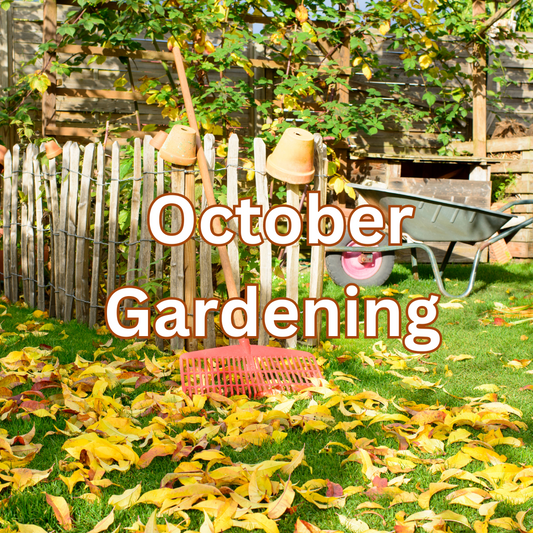 10 October Gardening Tasks