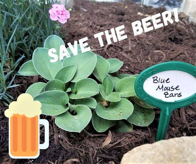 Save the Beer Slug Bait