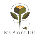 B's Plant IDs