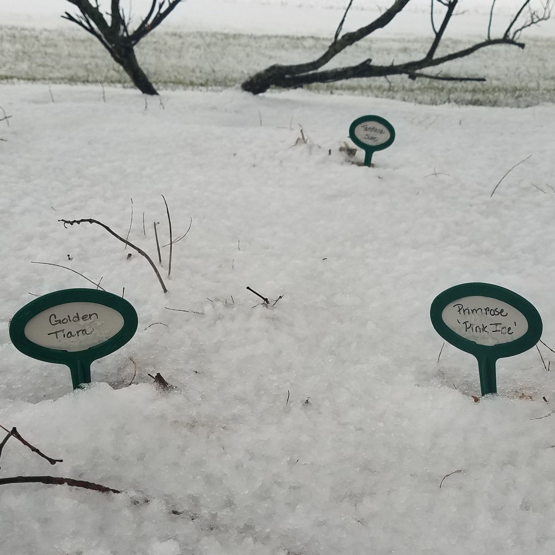Writeable plant markers. 9 inch stake with vinyl insert. Photo shows plant markers in the snow.  