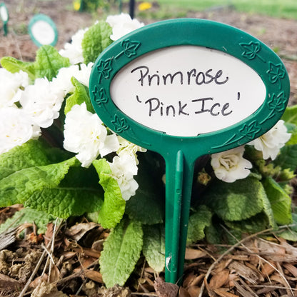 Writeable plant markers. 9 inch stake with vinyl insert. Primrose 'Pink Ice"