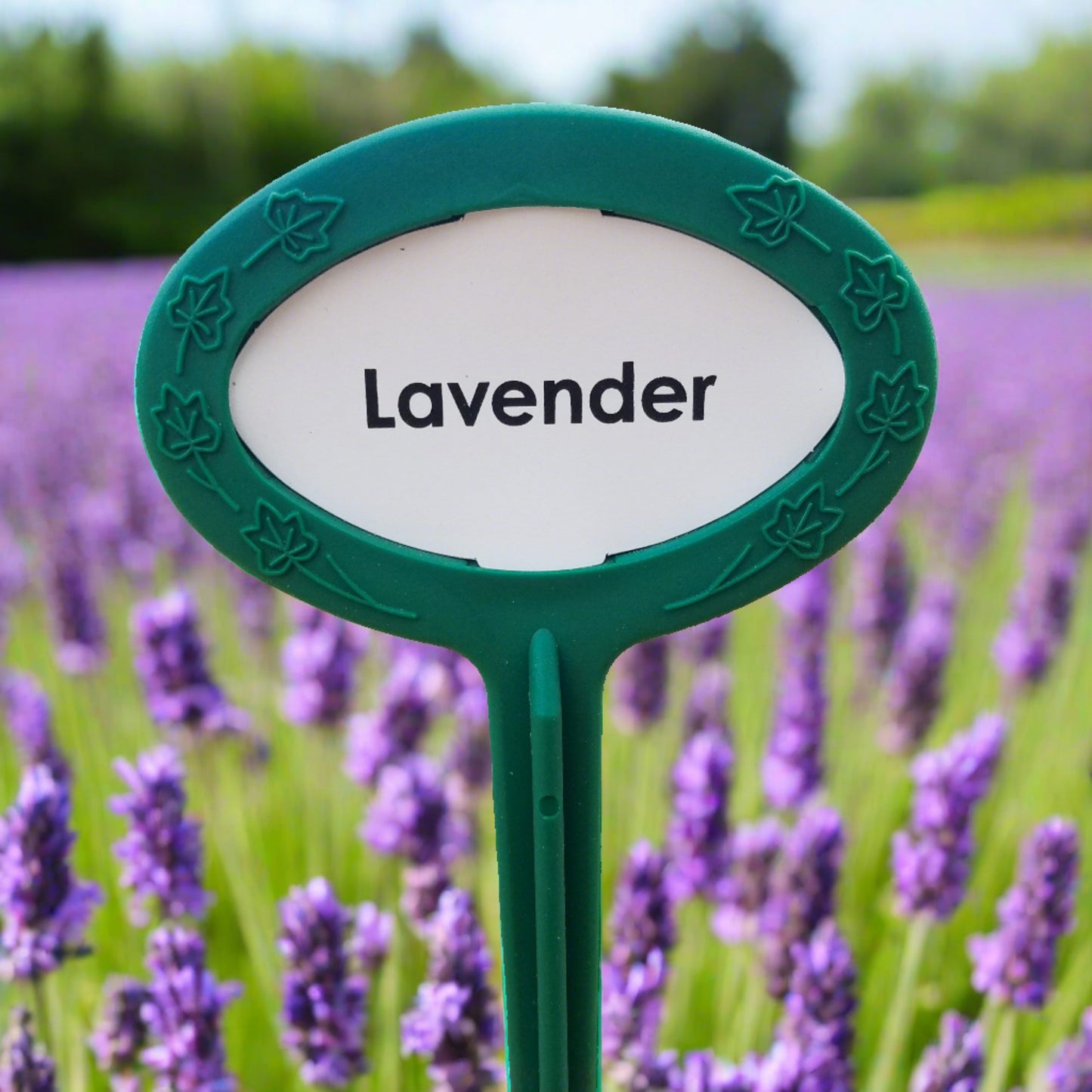 Preprinted garden marker Herb collection 20 pack. long lasting Made in USA. Lavender