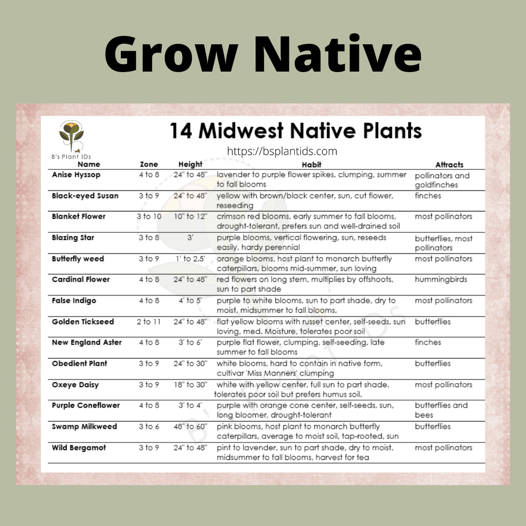 Grow Native.  14 Midwest Native Plants
