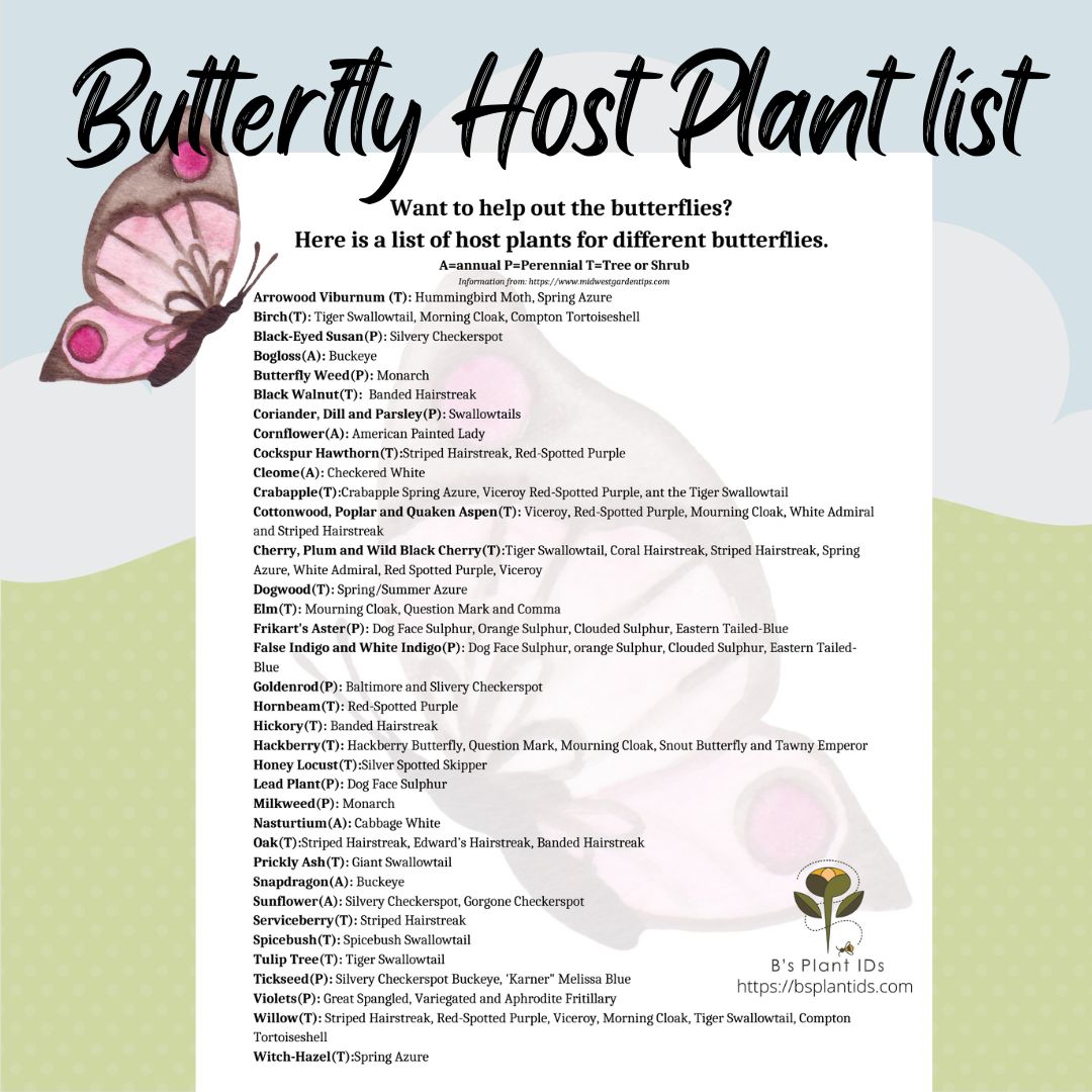 Butterfly Host Plant List. long list of plants and trees that are host plants to the butterflies. 