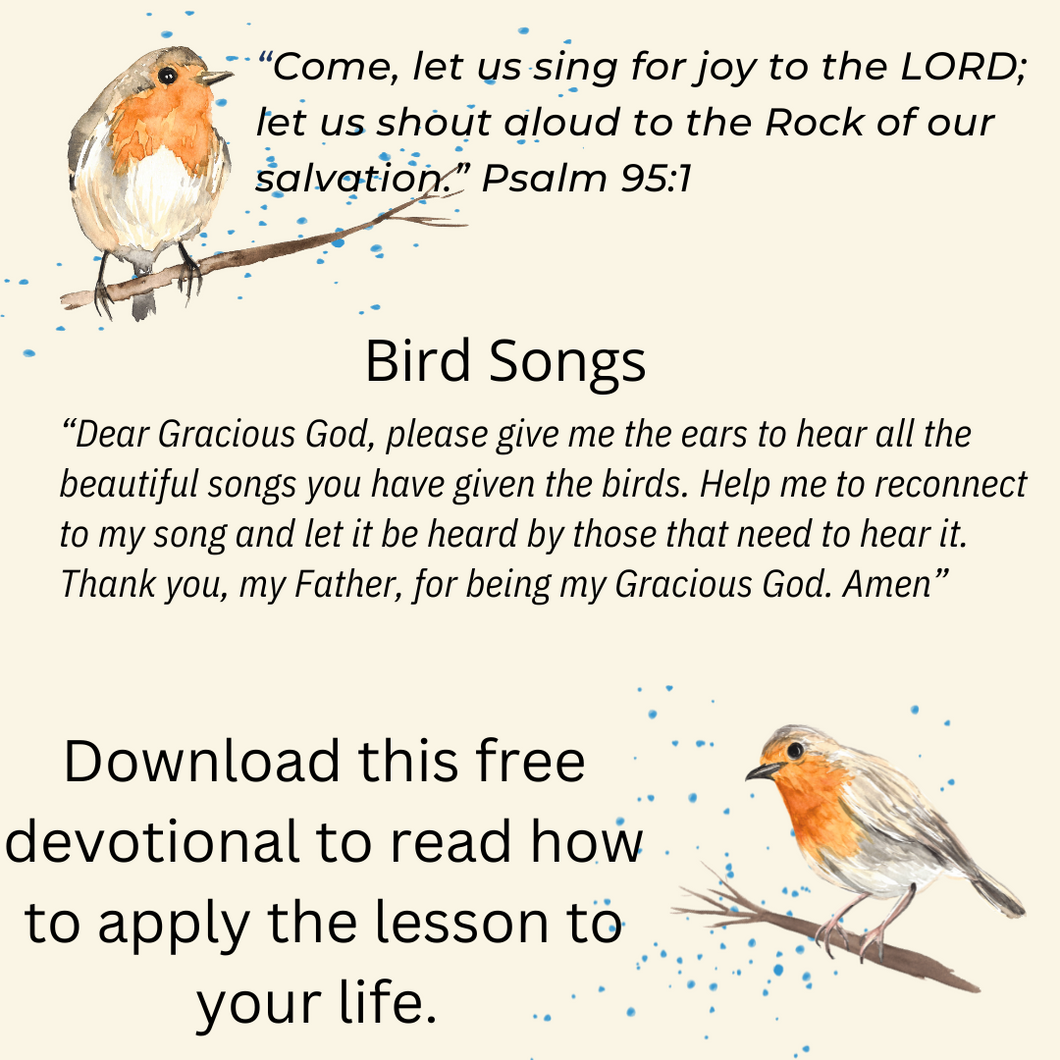 Bird Song Devotional