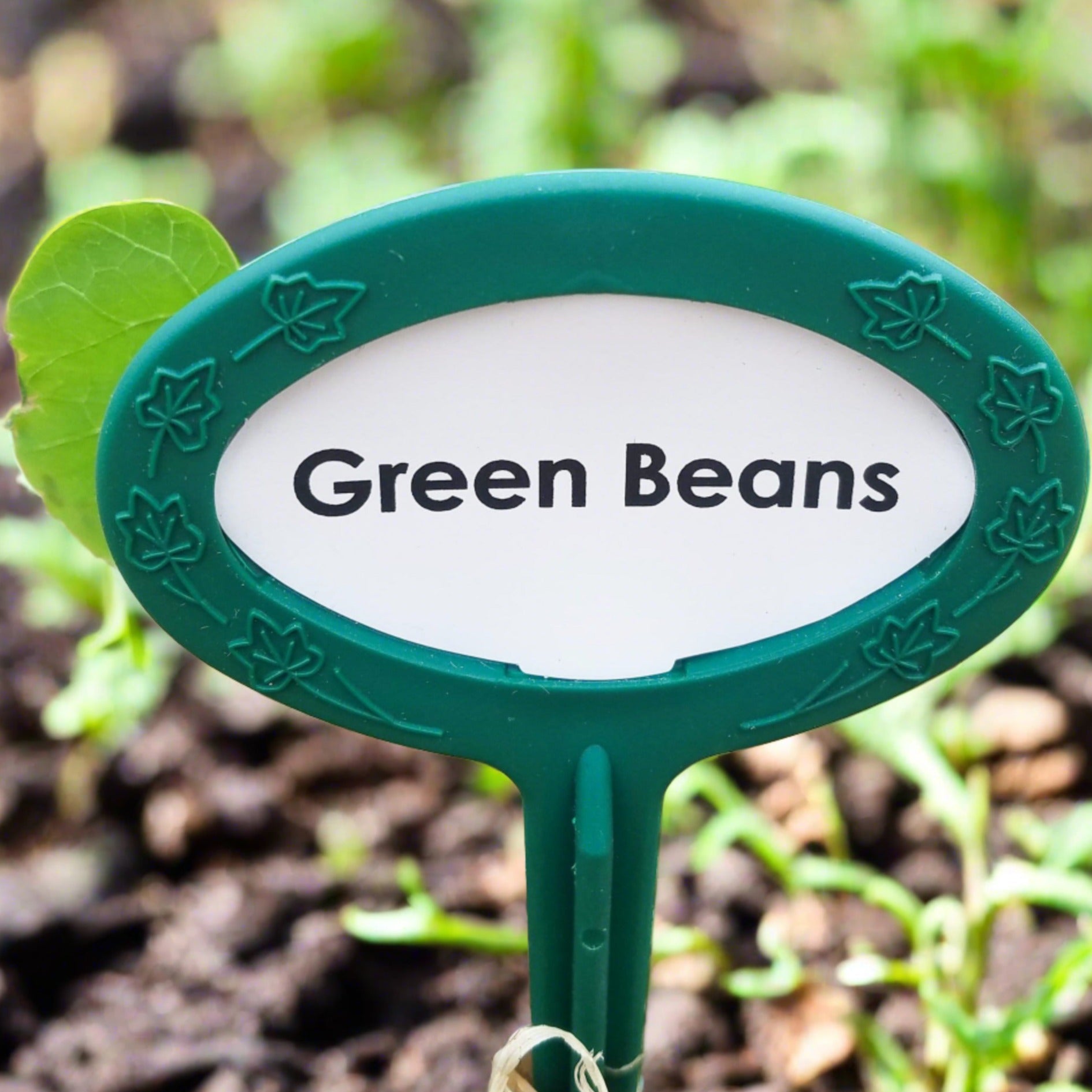 Preprinted garden marker Veggie collection 20 pack. long lasting Made in USA. Green Beans