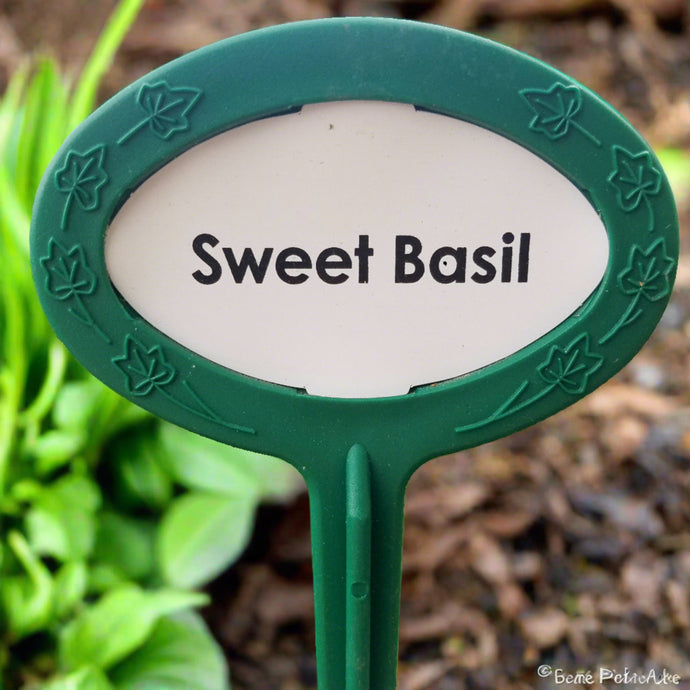 Preprinted garden marker Herb collection 20 pack. long lasting Made in USA.  Sweet Basil